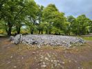 PICTURES/Drive to Inverness/t_Clava Cairns (8).jpg